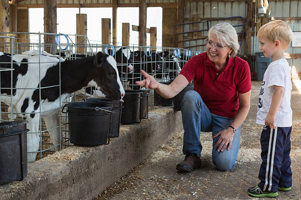 How Wisconsin Pioneer Women Shaped Agriculture and Dairy Farming