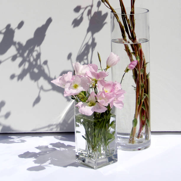 Maximizing Your Space: A Guide to Square Vases, Wholesale Flowers, and Supplies