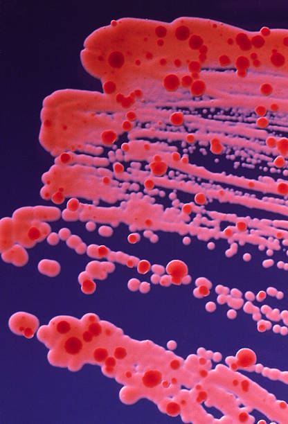 Microbiology's Giants: Trailblazers Shaping Our World