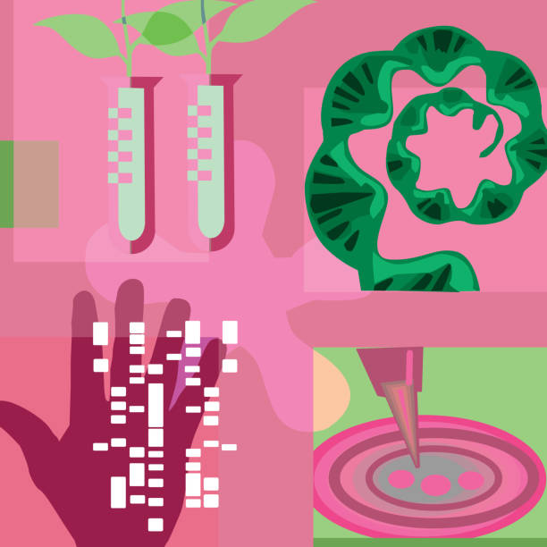 Unlocking Nature's Secrets: A Look into the World of Plant Genetics