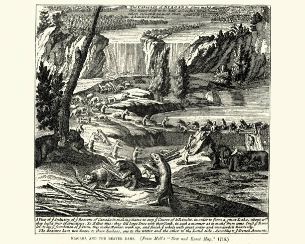 Unveiling Canada's Rich Land: A Historical Examination of Treaties and Indigenous Rights