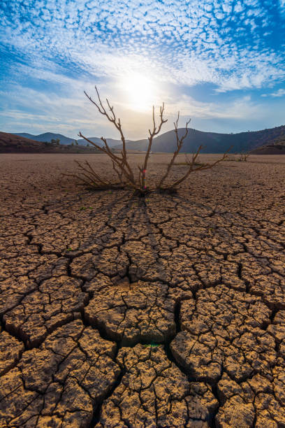 Why is Drought a Major Global Issue and What Can Be Done?